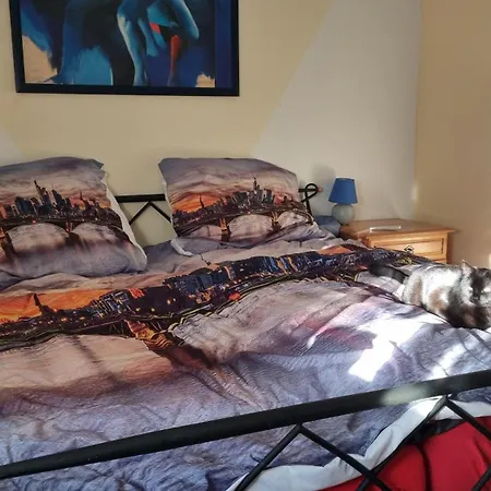 Chill Area * 美因河畔法兰克福