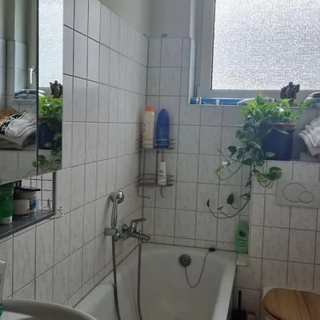 Chill Area 美因河畔法兰克福